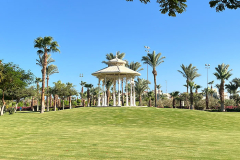 svoe_hg_36
