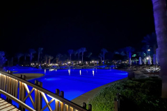 svoe_hg_67