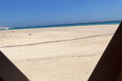 svoe_hg_210