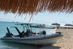 svoe_hg_220