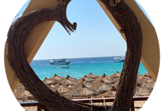svoe_hg_rund-28