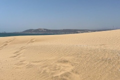 svoe_ag_817
