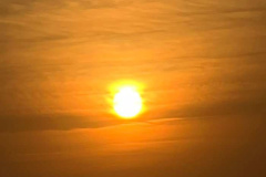 svoe_ag_835