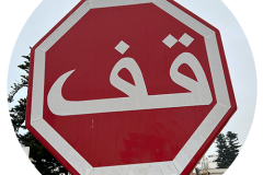 svoe_agadir_rund-69