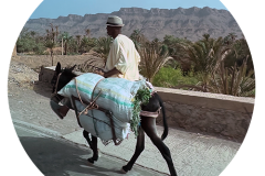 svoe_agadir_rund-95
