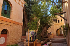 svoe_agadir_22