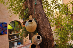svoe_agadir_31