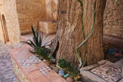 svoe_agadir_34