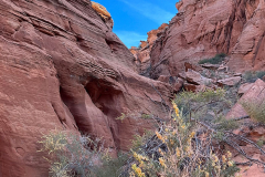 kSvOe_579