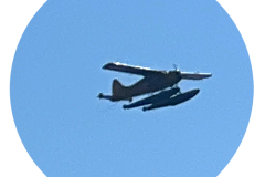 kSvOe_rund-130